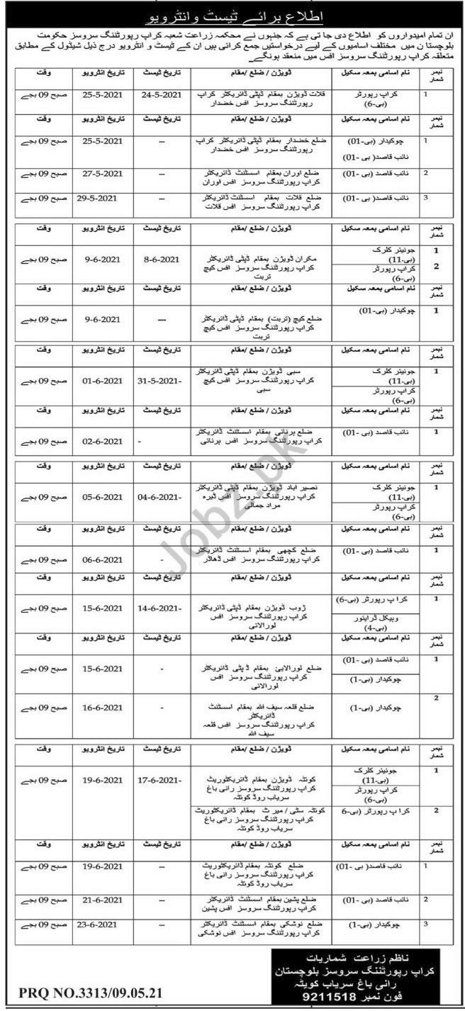 Crop Reporting Services Balochistan Jobs 2021