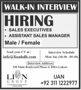 Lion Group Walk In Interviews 2021