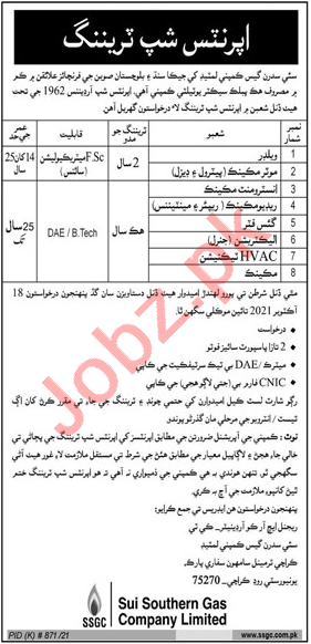 Sui Southern Gas Company Limited Jobs 2021 For Internees