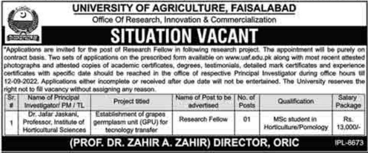 University of Agriculture Faisalabad Jobs 2022 in September