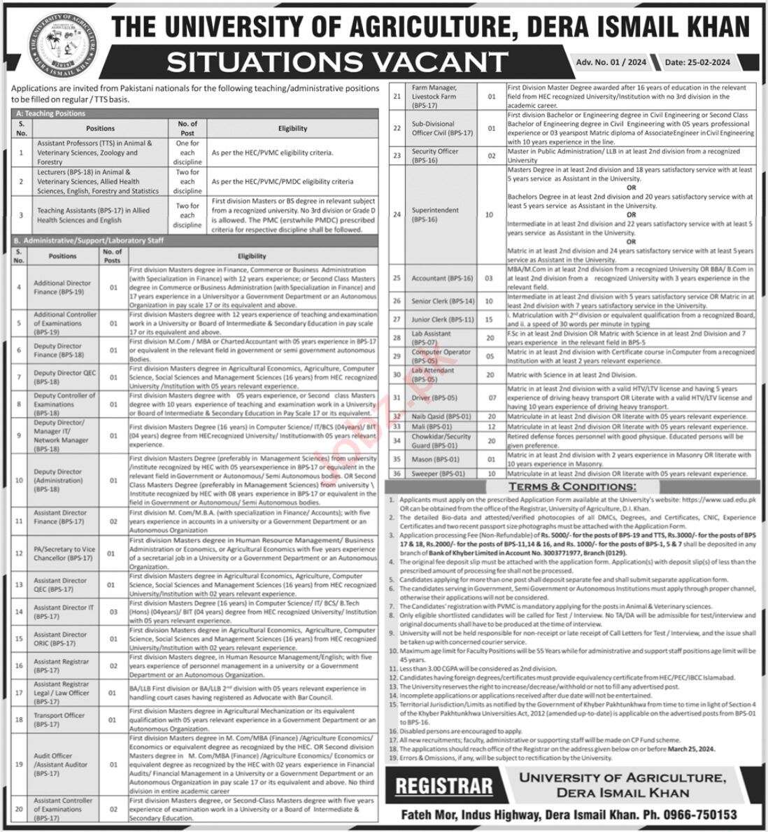 The University Of Agriculture Dera Ismail Khan Jobs 2024 in February