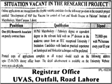 Univsersity Of Veterinary & Animal Sciences UVAS Lahore Job in September