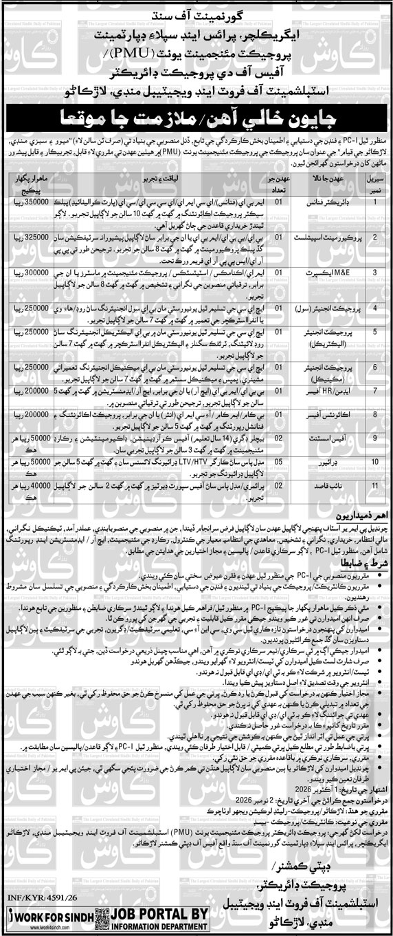 Project Management Unit PMU Larkano Jobs Notice 2026 in October